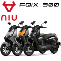 NIU FQiX 300 80km/h