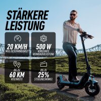 Kickscooter NIU KQi300X space grey