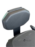 Rückenlehne für NIU NQiX mattgrau