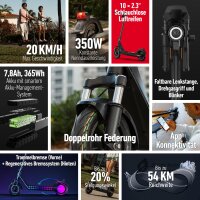 Kickscooter NIU KQi200F grau